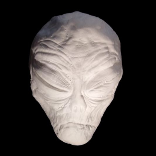 Area 51 Grey Alien Death Mask